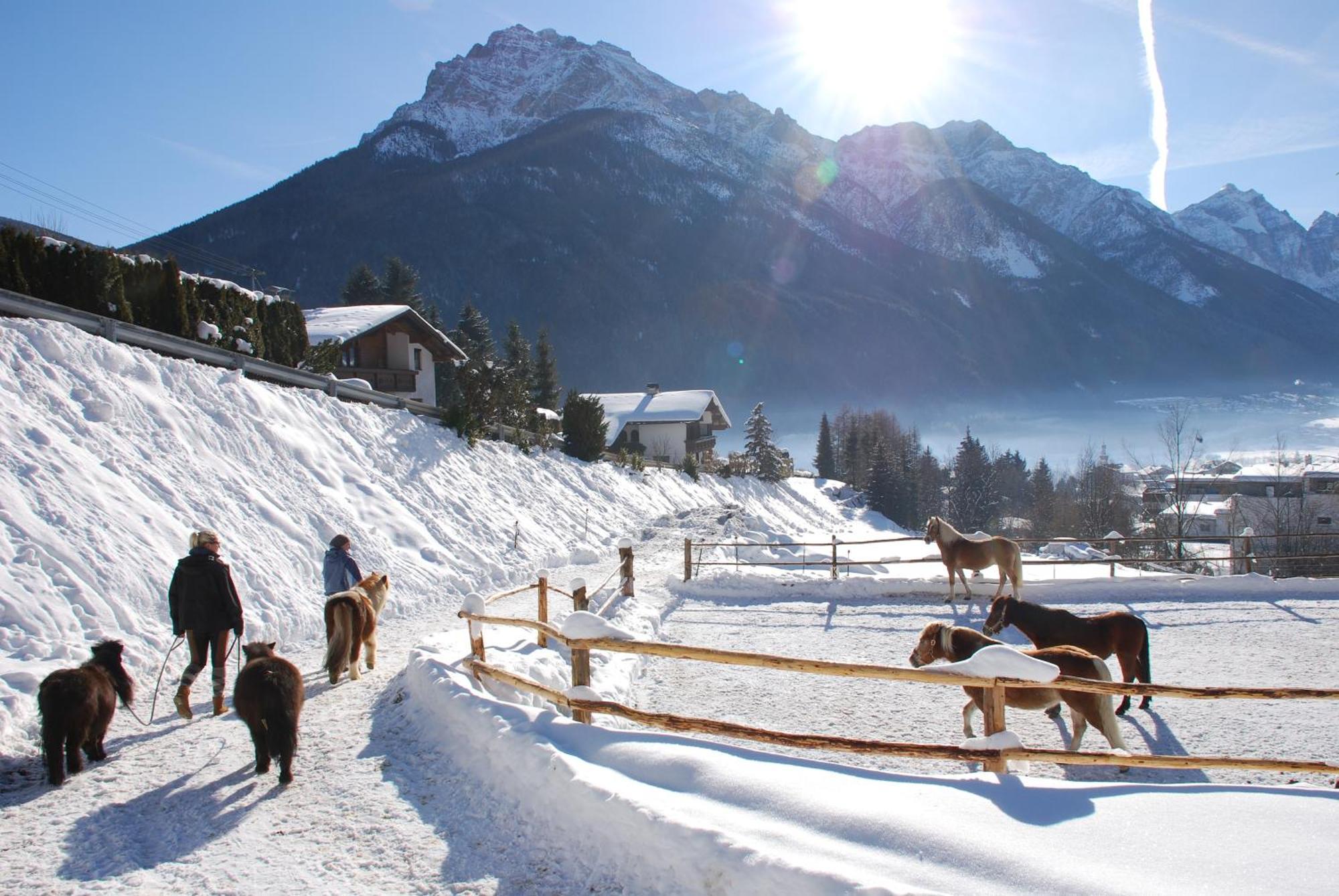 Appartamento Kassnhof - Urlaub In Den Bergen Telfes im Stubai Esterno foto