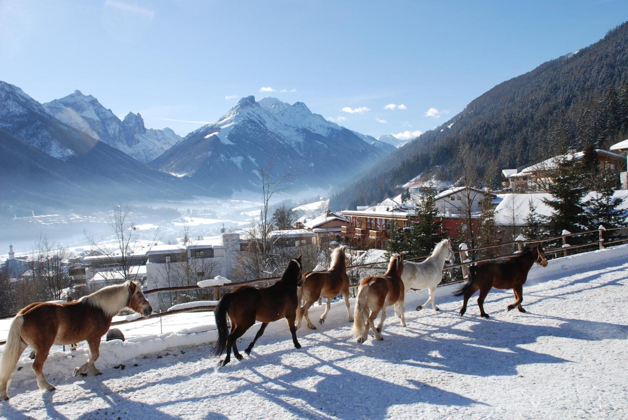 Appartamento Kassnhof - Urlaub In Den Bergen Telfes im Stubai Esterno foto