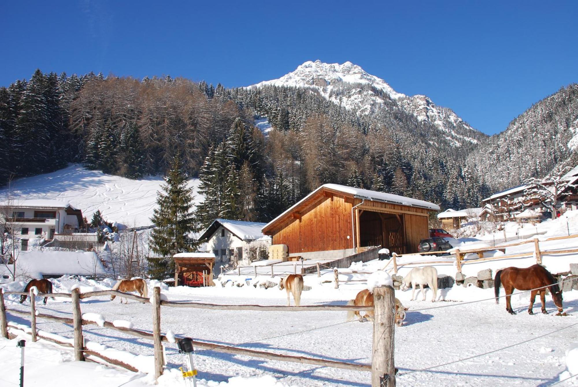 Appartamento Kassnhof - Urlaub In Den Bergen Telfes im Stubai Esterno foto